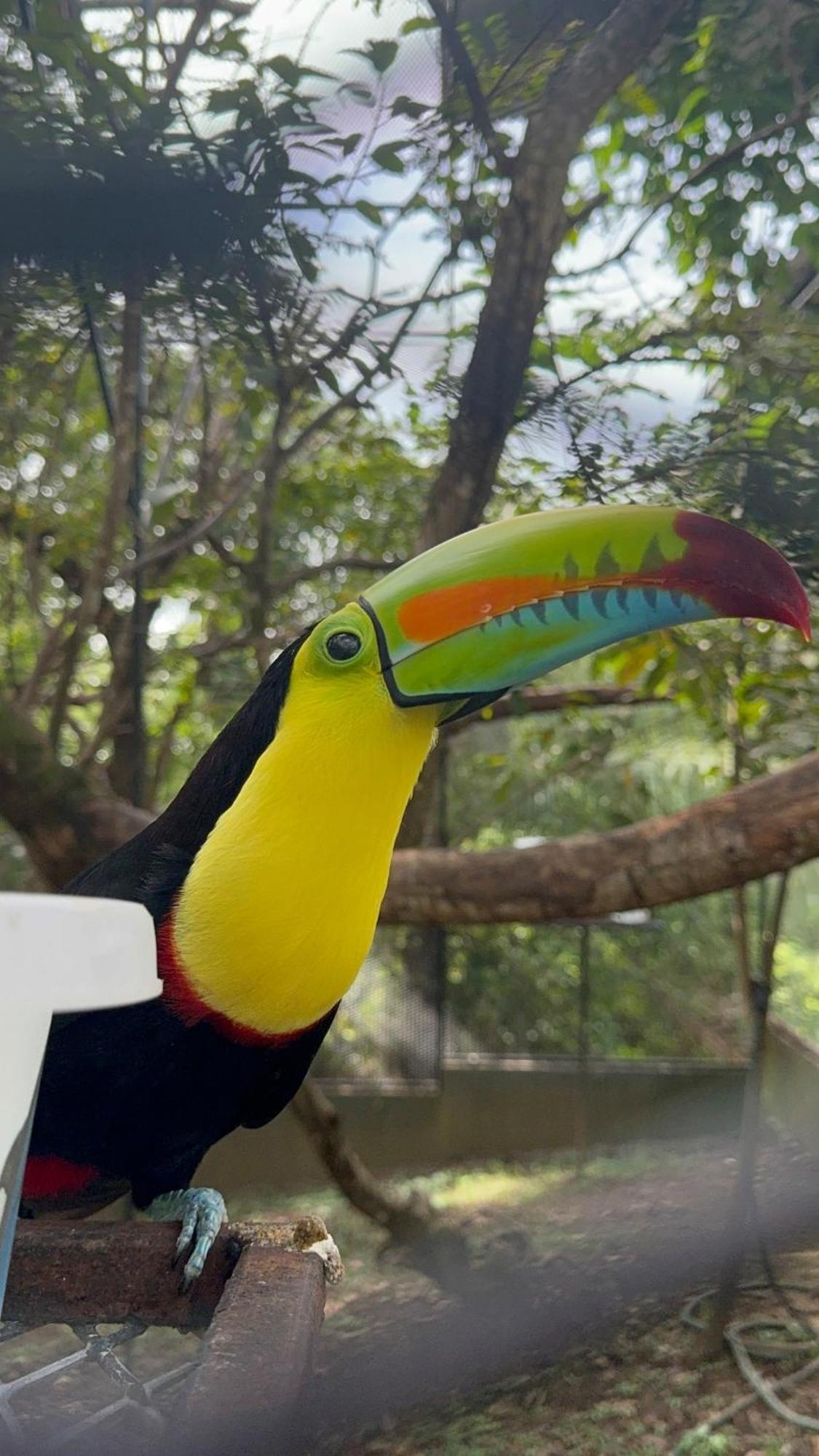 Casa Nero Panama Villa Boca Chica Eksteriør bilde